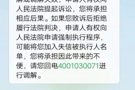 湘阴为什么选择专业追讨公司来处理您的债务纠纷？